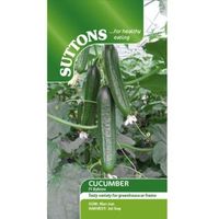 Suttons Bylos F1 Seeds Non Gm