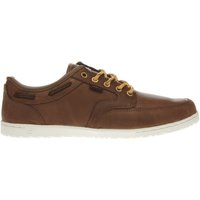 Etnies Brown Dory Trainers