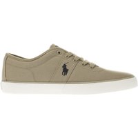 Polo Ralph Lauren Stone Halford Trainers