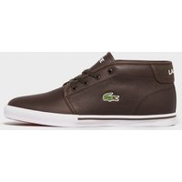 Lacoste Ampthill - Brown, Brown