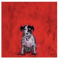 Small Dog Red Canvas Art (W)400mm (H)400mm