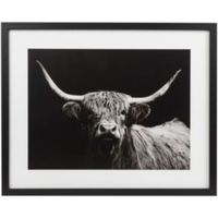 Highland Spirit Bull Black Framed Art (W)530mm (H)430mm