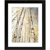 Autumn Trees Black Framed Art (W)540mm (H)440mm