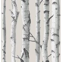 Wallpops Birch Tree Grey Peel & Stick Wallpaper (L)5.5m (W)52cm