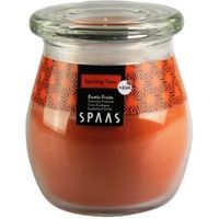 Spaas Exotic Fruits Jar Candle Large