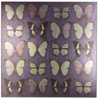 Metallic Butterflies Purple Canvas (W)57cm (H)57cm