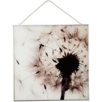 Windswept Dandelion Neutral Framed Print (W)40cm (H)40cm
