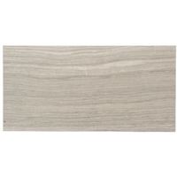 Bolina Grey Porcelain Wall & Floor Tile Pack Of 6 (L)600mm (W)300mm