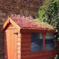 ROOFTRADE Multicolour Living Roof (L)3M (W)1000mm