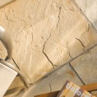 Fossil Buff Natural Sandstone Single Paving Slab (L)600mm (W)600mm