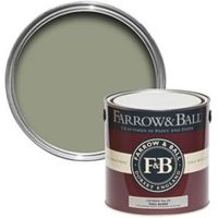 Farrow & Ball Interior & Exterior Lichen No.19 Gloss Paint 2.5L