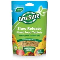 Westland Gro-Sure Slow Release Plant Food Pack Of 20