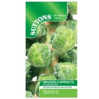 Suttons Brussels Sprout Seeds F1 Continuity Mix