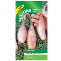 Suttons Shallot Banana Seeds Zebrune Mix