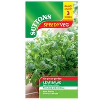 Suttons Speedy Veg Leaf Salad Seeds Spicy Oriental Mix