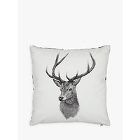 Ben Rothery Henry Stag Cushion
