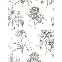 Sanderson Wallpaper, Etchings And Roses DPFWER106, Black