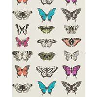 Harlequin Papilio Wallpaper