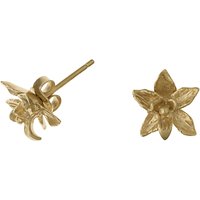 Dower & Hall 18ct Gold Vermeil Nirvana Small Orchid Stud Earrings