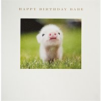 Susan O'Hanlon Piglet Birthday Card