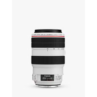 Canon EF 70-300mm F/4-5.6L IS USM Telephoto Lens