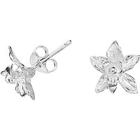 Dower & Hall Small Orchid Stud Earrings, Silver