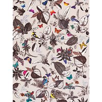 Osborne & Little Bird Song Wallpaper, W6596-01