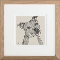 Letterfest Personalised Pet Illustration, 25 X 25cm