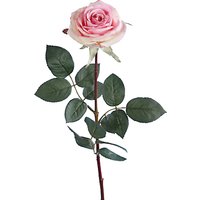 Floralsilk Carola Rose, Pink / Cream