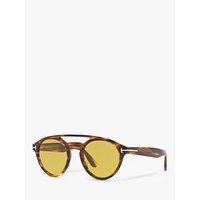 TOM FORD FT0537 Clint Round Sunglasses, Tortoise/Yellow