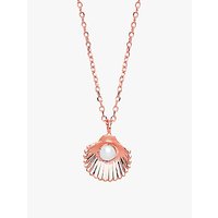 Estella Bartlett Shell Freshwater Pearl Pendant Necklace, Rose Gold