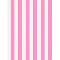 Harlequin Mimi Stripe Wallpaper