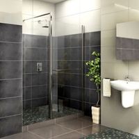 Aquadry Front Panel & Pivoting Splash Panel With Walk-In Entry (W)700mm
