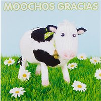 Mint Moochos Gracias Thank You Card