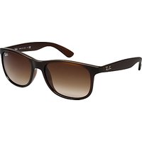 Ray-Ban 0RB4202 Andy Sunglasses