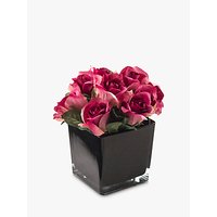 Peony Artificial Roses In Black Cube, Large
