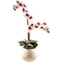 Peony Artificial Pink And White Phalaenopsis Orchid In Pot