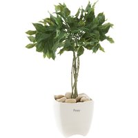 Peony Artificial Bay Tree In A Pot