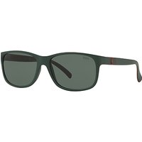Polo Ralph Lauren PH4109 Oval Sunglasses