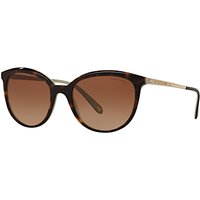 Tiffany & Co TF4117B Gradient Oval Sunglasses, Tortoise