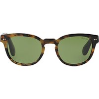 Ralph Lauren RL8130 Oval Sunglasses, Dark Havana