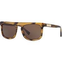 Dolce & Gabbana DG4288 Square Sunglasses, Brown Stripe