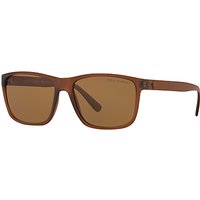 Polo Ralph Lauren PH4113 Polarised D-Frame Sunglasses, Matte Brown