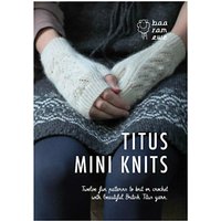 Baa Ram Ewe Titus Mini Knits Accessory Knitting Pattern Book