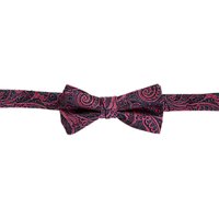 Ted Baker Warnbow Paisley Silk Bow Tie, Pink