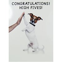 Paper House High Five Dog Greeting Card