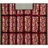 John Lewis Highland Myths Holly Christmas Crackers, Pack Of 12