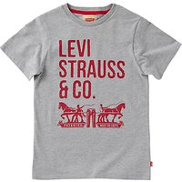 Levi's Boys' Nigel T-Shirt, Grey