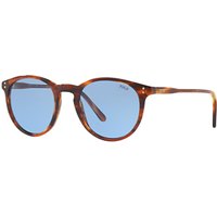 Polo Ralph Lauren PH4110 Oval Sunglasses, Havana/Light Blue