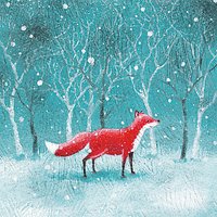 Museums And Galleries Fox Charity Christmas Cards, Pack Of 8